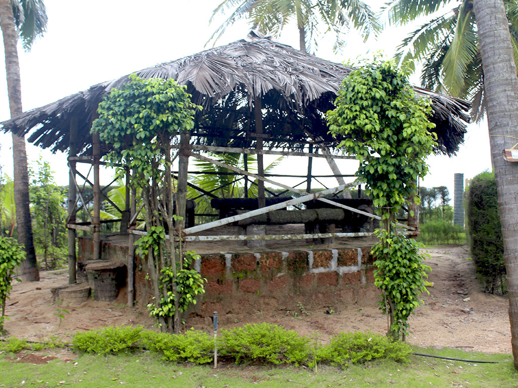 Gazebo with coconut Palms at Cheshire village resort